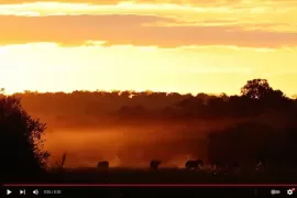 Nikon releases another teaser video of the Z9