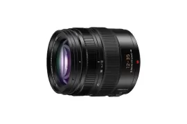 Panasonic Leica DG Vario-Elmarit 12-35mm F2.8 ASPH. POWER O.I.S.